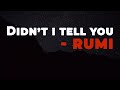 Didn T I Tell You Rumi Didn T I Tell You Rumi