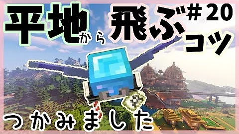 スイッチマイクラエリトラ花火飛び方