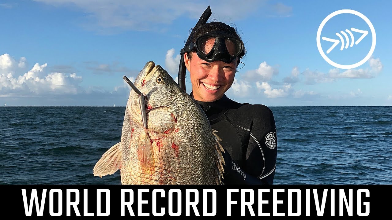 World Record Freediving Florida Freedivers YouTube