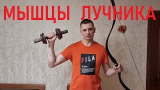 Подготовка мышц для стрельбы из лука.