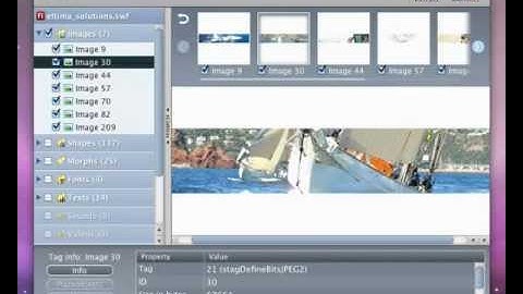 Flash Decompiler Trillix v4.1.0.710(for-free)