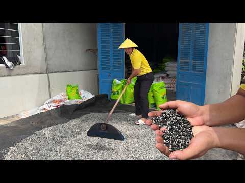 Tại Sao Trộn Phân Hữu Cơ Với Đạm, Lân, Kali Lại Bị Chảy? Đây Là Cách Khắc Phục.
