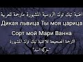 اغنية تيك توك الروسية Alex Rus дикая львица مترجمة للعربية Lyrics Tiktok Transition Version Speed 