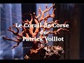 Le corail de corse documentaire de Patrick Voillot