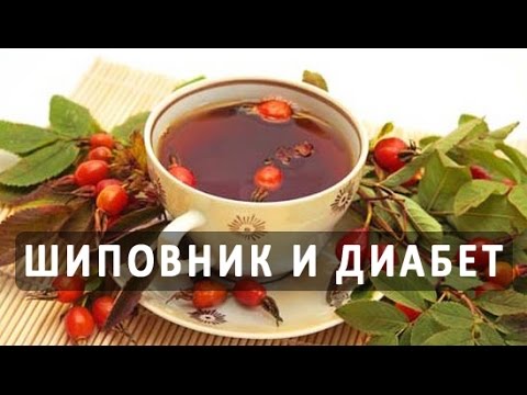 Шиповник при сахарном диабете