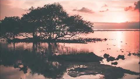 أجمل تلاوه سمعتها في حياتي💞 (إسلام صبحي)