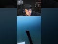 VOCÊ TERIA CORAGEM DE TRABALHAR AQUI?