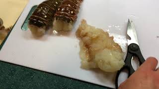 How to Clean And Cook Spiny Lobster!!
