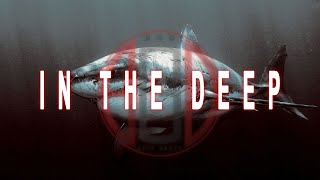 Cinematic Silly Orchestral Rap Beat  ► IN THE DEEP  ◄ - Rap Beat 2020