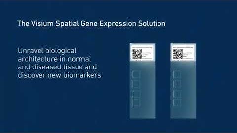 How it Works | Visium Spatial Gene Expression Solution