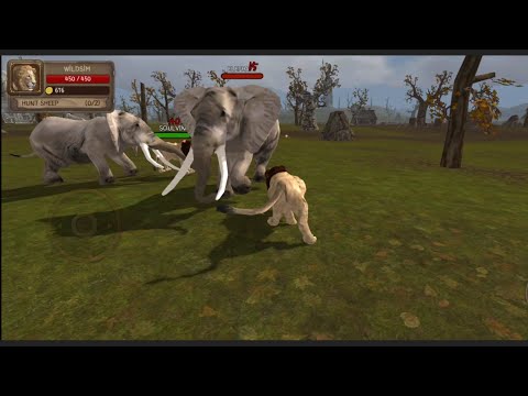 Three Wild Lion's 🦁 And Two Angry Elephant's 🐘 Ultimate Lion Simulator