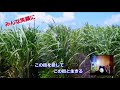 みんな笑顔に さとうきぴ畑イメージソング1