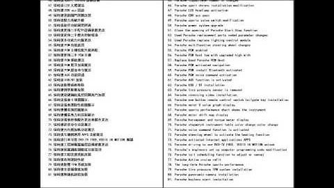 Porsche Piwis Engineer Developer mode Refit Brush writing hidden function tutorials