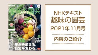 NHKテキスト『趣味の園芸』2021年11月号の紹介