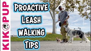 STOP Leash Walking Problems BEFORE they Start