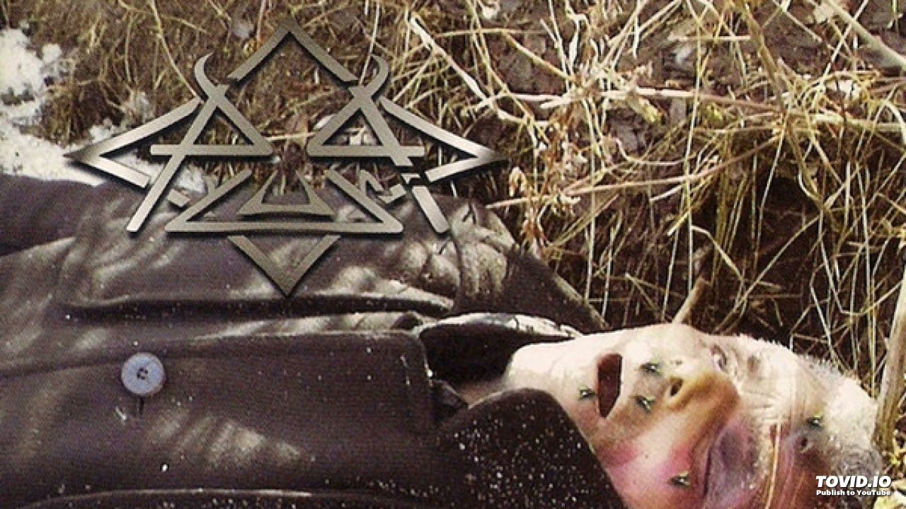 Pyuria – Calliphora Vomitoria Introitus