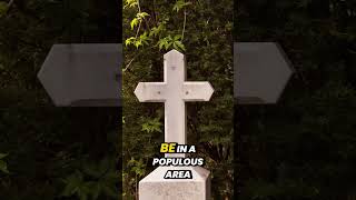 Post-Disaster Survival 90 Days To Rebuild