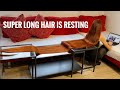 Super long hair is resting on several tables (preview)