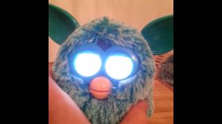 How to turn your evil furby nice