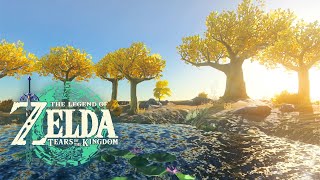 🌤️ Great Sky Island｜Tears of the Kingdom｜ZELDA Ambience