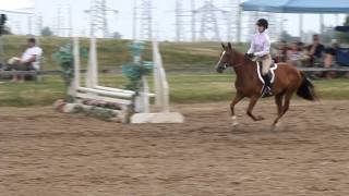 1st place 2'3 hunter course