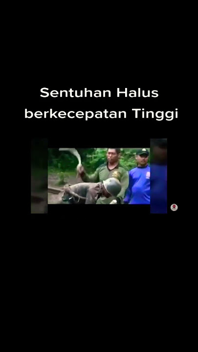 Latihan KOPASKA #pasukanelitkhusus #kopaska #specialforces