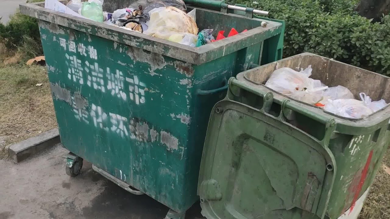 2只流浪猫为了垃圾桶的食物而打架，活着不易