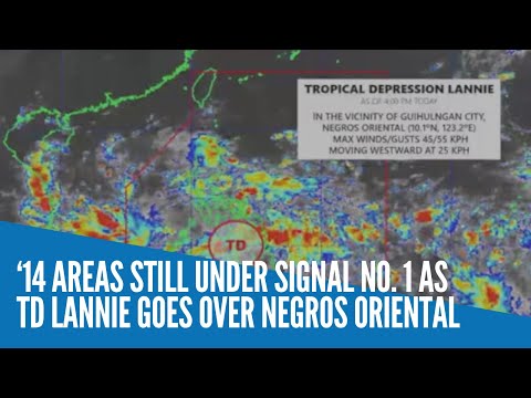 14 areas still under Signal No. 1 as TD Lannie goes over Negros Oriental