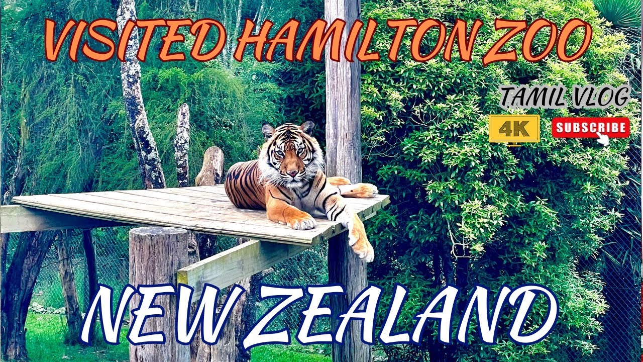 Hamilton Zoo🔥😍, New Zealand 🇳🇿 Tamil Vlog 4K