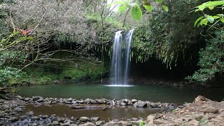 Walking Tour - Twin Falls Waterfall Maui Hawaii 2024