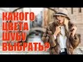 Как подобрать цвет шубы? Советы модного эксперта