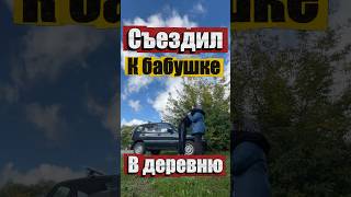 👵Съездил к бабушке в деревню #деревня #бабушка #блог #Новгород
