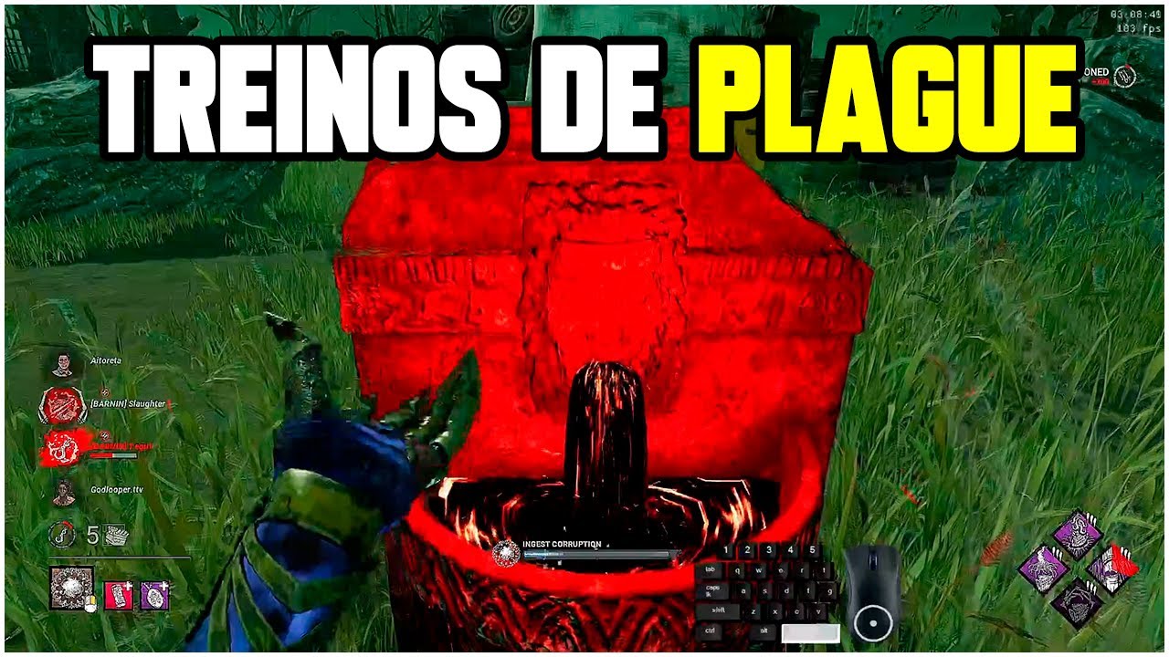 PLAGUE TRYHARD vs SWF de CAMPEONATO dos EUA | Dead by Daylight - YouTube