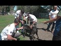 A's Players and Coaches Visit Oakland Animal Shelter
