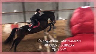 Конкурные тренировки 26.01.2019|Конный спорт