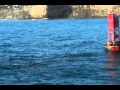 2009 Dec - Riva Boating Trip - Part 2