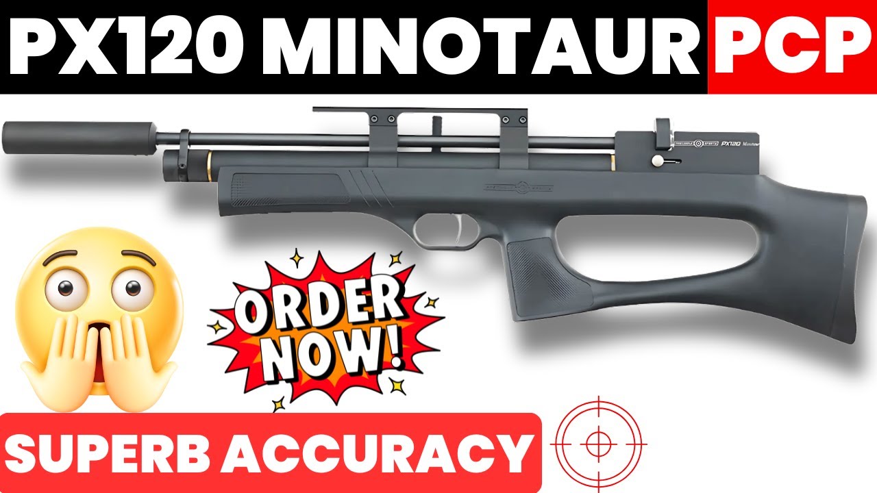 PX120 Minotaur PCP Airgun | Honest review with Firing Test!