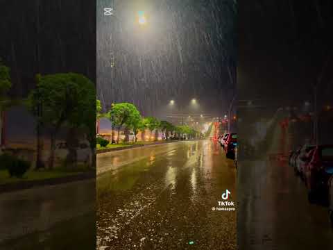 Dans Le Silence De La Nuit Youza