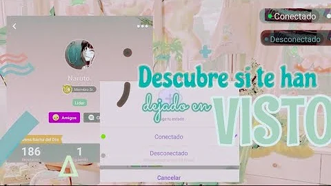 Can you use Amino online?