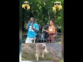#Funny Compilation | Try Not To Laugh Challenge 2025 #viral #shortvideo #nr funny pranks 2025.#fails