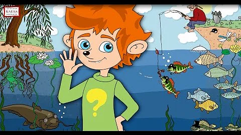 Познавательный мультфильм с Чевостиком 