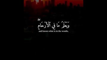 القارئ ماهر المعيقلي {ان الله عنده علم الساعة وينزل الغيث ويعلم ما في الارحام} 💖✨