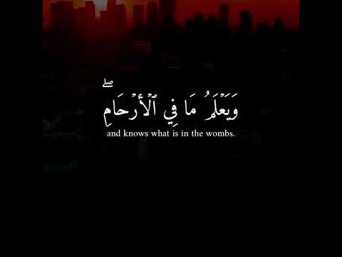 القارئ ماهر المعيقلي ان الله عنده علم الساعة وينزل الغيث ويعلم ما في الارحام