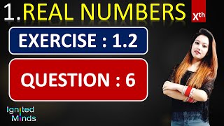 Question 6 | Exercise 1.2 | Chapter 1 | Real Numbers | Class 10th Math