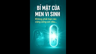 Hành Trình Chữa Hội Chứng Ruột Kích Thích Ngày 2 Bí Mật Của Men Vi Sinh