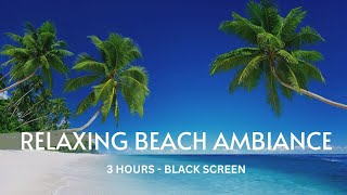 Escape to Paradise: A Sound Journey to the Beach 3 Hours - Black Screen