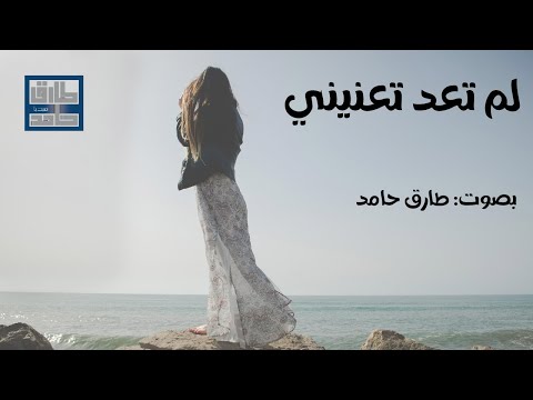 فيديو: لم تعد الأكواخ