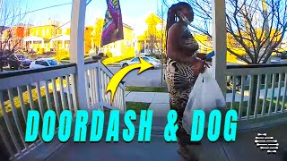 Dogs Scares an Unsuspecting Doordash Driver