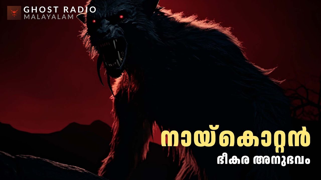 മനുഷ്യനെ പതിയിരുന്നു കൊലപ്പെടുത്തുന്ന നായ്കൊറ്റൻ | horror story malayalam | ghost story malayalam
