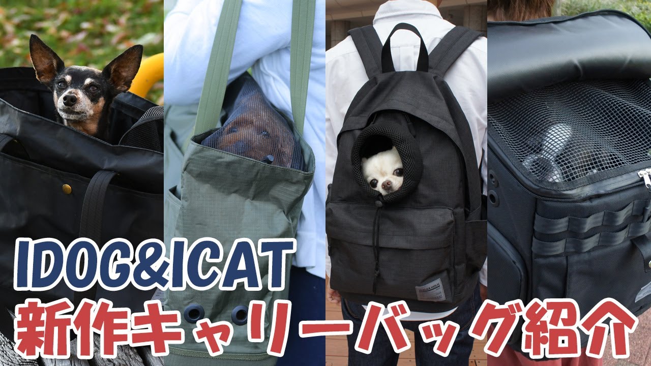 IDOG&ICAT営業部】新作ペット用キャリーバッグ4商品紹介【バックパック